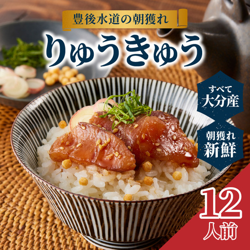 豊後水道の朝獲れ　りゅうきゅう　【12人前】 E22030