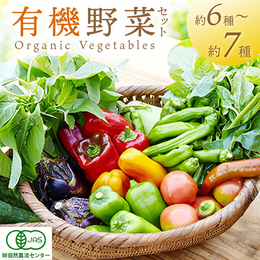 [てんとうむしばたけ]オーガニック野菜セット 有機野菜6〜7種(2人用) 京都直送 野菜 詰め合わせ 野菜セット 国産 京都産 ふるさと納税 野菜