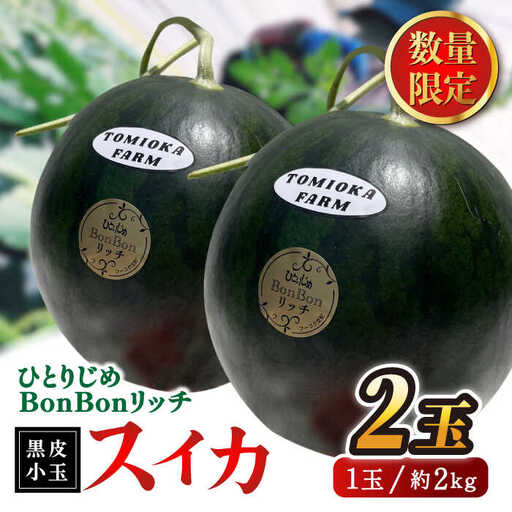 先行予約 ひとりじめBonBonリッチ黒皮小玉スイカ2玉すいか西瓜ZEM002