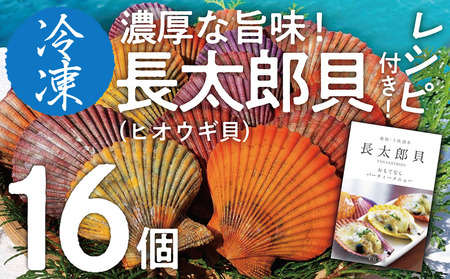 【9月発送】黒潮の恵 冷凍 ヒオウギ貝16個セット（ホタテの仲間）アウトドア キャンプ バーベキュー 魚貝 殻付 貝柱 酒蒸し 真空パック【R00803】