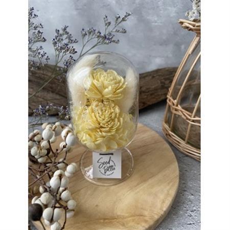 [黄色系]天球bottle flowers Msize_花・観葉植物 造花・プリザーブドフラワー 花 _