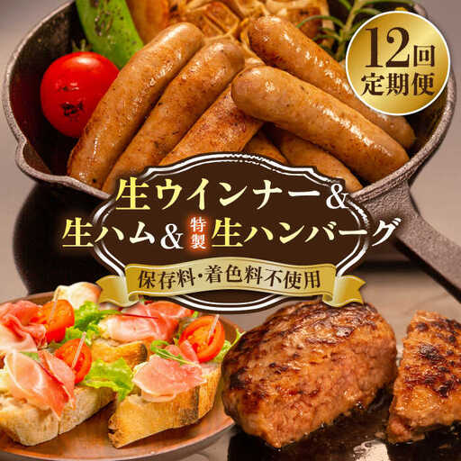 【全12回定期便】特製 生ハンバーグ 生ハム 生ウインナー 3種 セット 糸島市 / 志摩スモークハウス 肉 加工品 [AOA031]