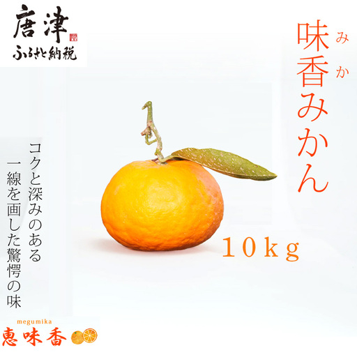 『先行予約』【令和9年2月上旬発送】果皮も丸ごとガブッ！味香みかん 10kg 新種のミカン