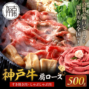神戸牛肩ロースすき焼き肉・しゃぶしゃぶ肉(500g)[ 神戸牛 自社牧場直送 国産 肉のヒライ 肩ロース すき焼き しゃぶしゃぶ プレゼント ギフト 送料無料 おすすめ ][2403A00114]