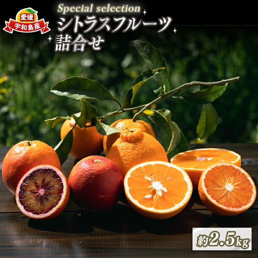 柑橘 詰合せ 2.5kg コルレオファーム 柑橘