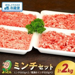 延岡よっとん ミンチセット N003-YB344
