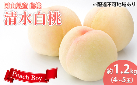 [ 2027年 先行予約] 桃 岡山県産 清水 白桃 約1.2kg(4〜5玉) [2027年7月中旬-8月上旬頃出荷] 白桃 岡山 はくとう スイーツ フルーツ 果物 先行予約 数量限定 期間限定 岡山 里庄町 モモ もも 桃
