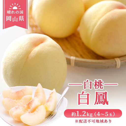 【 2027年 先行予約】 桃 岡山県産 白鳳 （ 白桃 ）約1.2kg(4～5玉) 《2027年7月上旬-中旬頃出荷》 白桃 岡山 はくとう スイーツ フルーツ 果物 先行予約 数量限定 期間限定 岡山 里庄町 モモ もも 桃 