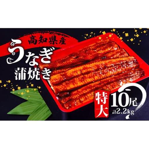 【 うなぎ蒲焼き 】 うなぎ蒲焼き 220gx10尾