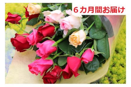 バラ [約15本×6カ月定期便]生産者直送 有機栽培で育った朝切りバラの花束