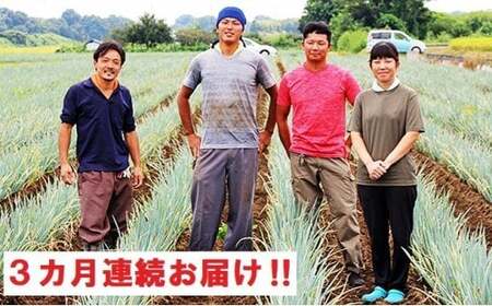 [3ヶ月連続お届け]関田農園の「厳選 長ねぎ(泥付き)」箱3kg×3回 美味しい定期便