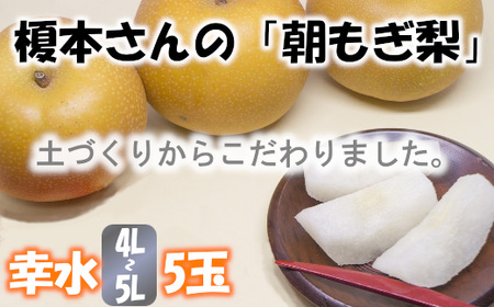 【幸水（4L～5L）5玉】土づくりからこだわる！榎本さんの「朝もぎ梨」　【11246-0379】