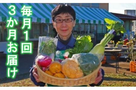 [3か月定期便] 厳選・「おおばん市場」旬の野菜詰め合わせ