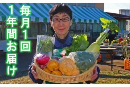 【12カ月定期便】厳選・「おおばん市場」旬の野菜詰め合わせ