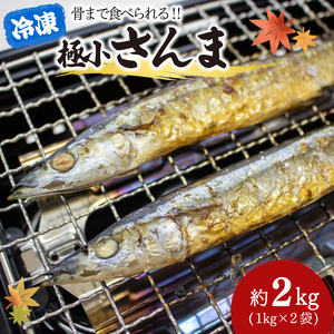 極小 さんま 2kg 1kg×2袋
