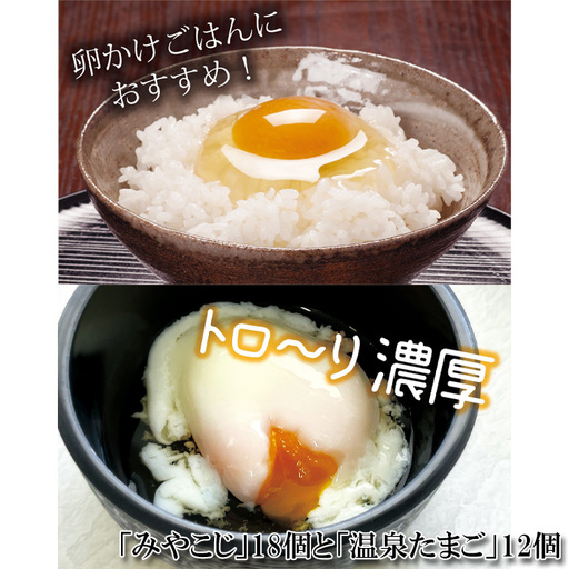 伝承卵「みやこじ」18個(15個+卵割れ補償3個)と「温泉たまご」12個(10個+卵割れ補償2個)の詰合せ No.429