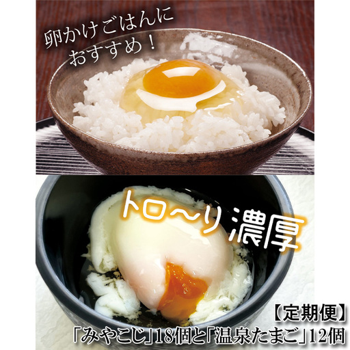 [定期便][2ヵ月連続]伝承卵「みやこじ」18個(15個+卵割れ補償3個)と「温泉たまご」12個(10個+卵割れ補償2個)の詰合せ No.435