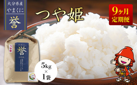 【寄附使途限定】【9ヶ月定期便】九州米・食味コンクール最優秀賞受賞 大分県中津産やまくに誉 つや姫 5kg×1袋 (毎月1回) | お米 精米 白米 国産米 定期 大分県 中津市