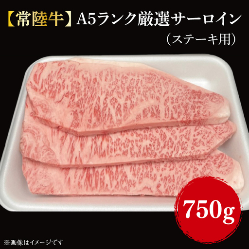 【常陸牛】Ａ５ランク厳選サーロイン(ステーキ用)250g×3｜肉 お肉 肉類 サーロイン サーロインステーキ ステーキ バーベキュー BBQ キャンプ 常陸牛 厳選 A5 贅沢 茨城県 行方市【茨城県共通返礼品】(FL-11)