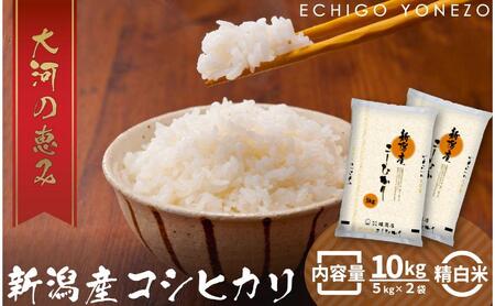 新潟市産コシヒカリ 白米 10kg お米 精米 ご飯 代表 自然 飽きない 自信 美味しい 