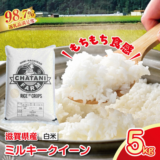 【新米】令和8年産　近江米　ミルキークイーン 白米【5kg×1袋】【V009W2】近江米