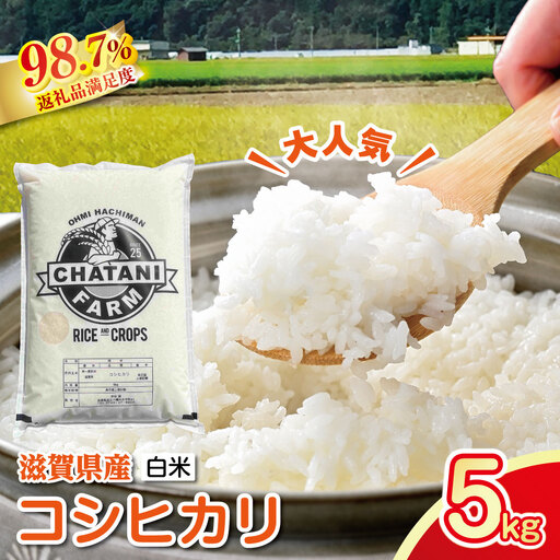 [新米]令和8年産 近江米 コシヒカリ 白米[5kg×1袋][V011W2]こしひかり 近江米 お米