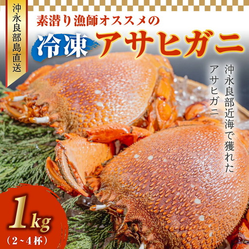 沖永良部島直送!素潜り漁師オススメの冷凍アサヒガニ1キロ(2〜4杯) W030-007u 冷凍 海鮮 カニ