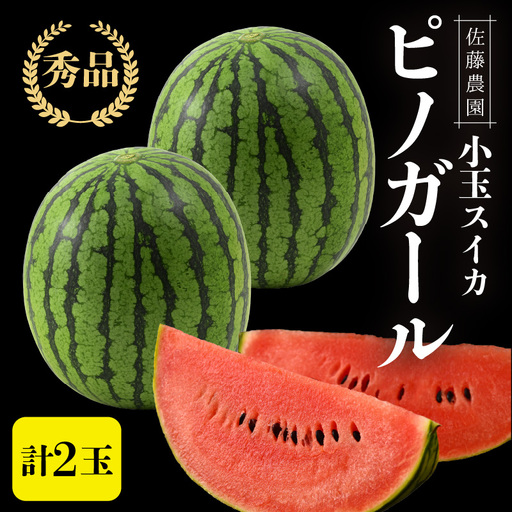 [先行予約]佐藤農園の小玉スイカ ピノガール 2玉(計3kg以上)/福井県 あわら市 フルーツ 夏 果物 西瓜 秀品 農家直送 有機肥料 低農薬 佐藤農園 ※2027年5月下旬〜6月末の間に順次発送 [aw069-a014]