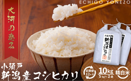 【定期便12ヶ月】新潟市産コシヒカリ 白米 10kg お米 精米 ご飯 代表 自然 飽きない 自信 美味しい 