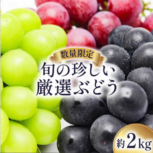【2027年8月-発送】【数量限定】 旬の珍しい厳選 ぶどう 約 2kg / 旬 フルーツ ぶどう ブドウ 葡萄 マスカット 果物 くだもの 産地直送 / 南島原市 / 長崎県農産品流通合同会社 [SCB051]