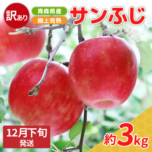 【ふるなび限定】 りんご　訳あり 約3kg サンふじ【2026年12月下旬発送】〈樹上完熟〉青森 FN-Limited-SP