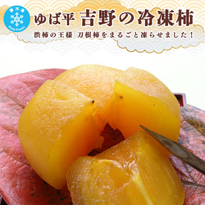 ゆば平 吉野の冷凍柿 10個 | 果物 柿