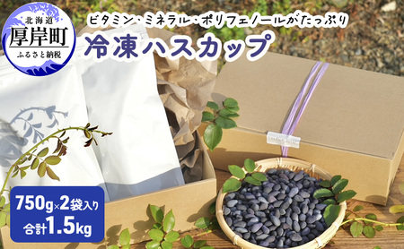 厚岸産 冷凍ハスカップ 750g×2袋 ビタミン ハスカップ
