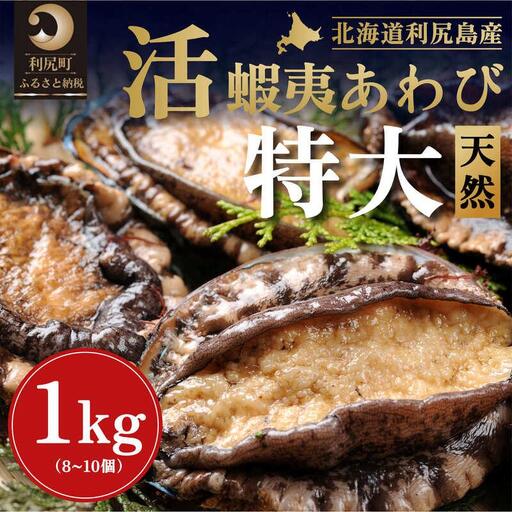 【2026年発送受付】活アワビ1kg（8～10個） 天然蝦夷アワビ 北海道利尻島産【10月下旬～12月上旬発送】