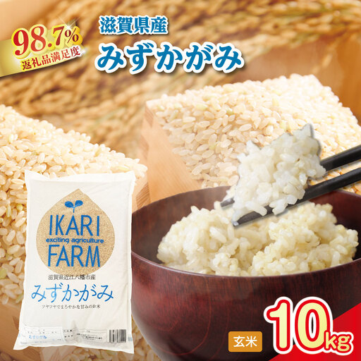 【新米】令和8年産 冷めても美味しいあっさりとした味わい「みずかがみ」玄米【10kg（5kg×2袋）】【C018W2】近江米 みずかがみ