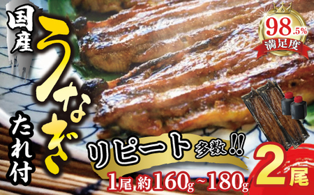うなぎ 蒲焼 2尾 ( 160g 〜 180g × 2 ) [D009W] 国産 うなぎ