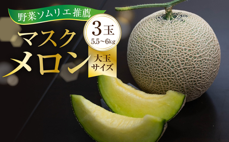 2027年《先行予約》マスクメロン3玉 大玉サイズ(5.5～6キロ)メロン T-farm
