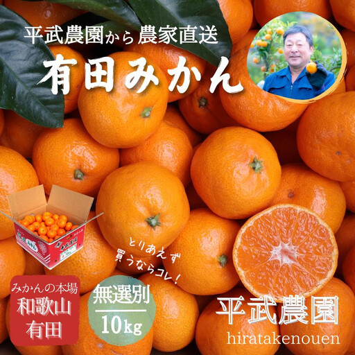 農家直送！有田みかん（10kg 無選別≪秀品･訳あり品･サイズ混合≫）平武農園　～蛍飛ぶ町から旬の便り～