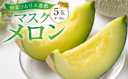 2027年《先行予約》マスクメロン5玉(8～9キロ)メロン T-farm
