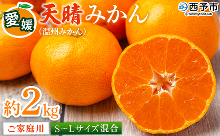 [愛媛県明浜産 天晴みかん(温州みかん)約2kg S〜L混合] 家庭用 訳あり ワケアリ 果物 くだもの フルーツ ミカン 柑橘 特産品 笑丸 愛媛県 西予市[常温]『2026年11月中旬〜2027年1月上旬迄に順次出荷予定』AAN0030