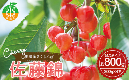 《2027年産先行予約》 山形県産さくらんぼ ＜佐藤錦＞ 秀品 約800g （200g×4パック） M/Lサイズ混合 サクランボ チェリー フルーツ 果物 くだもの F4A-0372