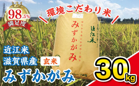 令和7年産 玄米 みずかがみ 30kg 環境こだわり米 [K073W] 近江米