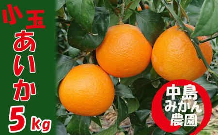 【紅まどんなと同品種】 愛果28号 小玉 5kg まどんな【NM0043】