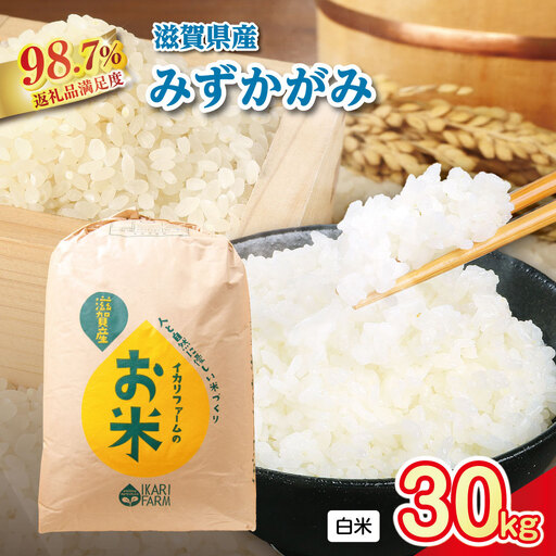 【新米】令和8年産 冷めても美味しいあっさりとした味わい「みずかがみ」白米【30kg×1袋】【C016W1】 近江米 みずかがみ