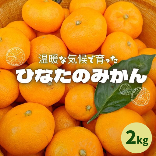 [先行予約]ひなたのみかん 2kg(箱込み) ※2026年12月頃に順次発送予定[期間限定・2026/11/30まで] / 田辺市 みかん 期間限定 先行予約 ミカン 和歌山 紀州[okm001]