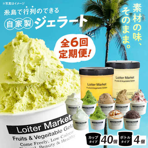 【全6回定期便】 ジェラート カップ 10個 ボトル 2個 アイス ジェラートセット [AGD011]