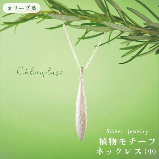 植物 モチーフ オリーブ 葉 ネックレス ( 中 )《糸島》【Chloroplast / クロロプラスト】 [ALF005]