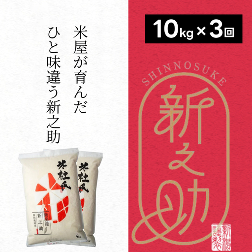 【令和8年産新米】【3ヶ月定期便 】 特別栽培米 新之助 10kg (5kg×2袋)×3回 米杜氏 壱成 白米 精米 大粒 つや 光沢 弾力 芳醇 新米 1H27084