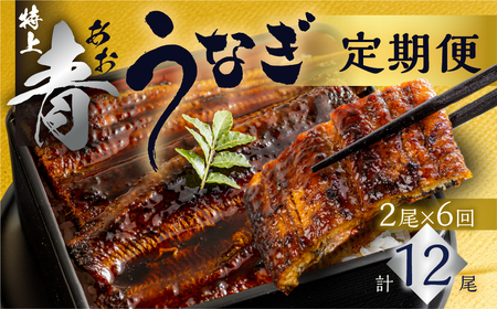 [定期便]幻の青うなぎ 蒲焼 2尾 全6回 うなぎ