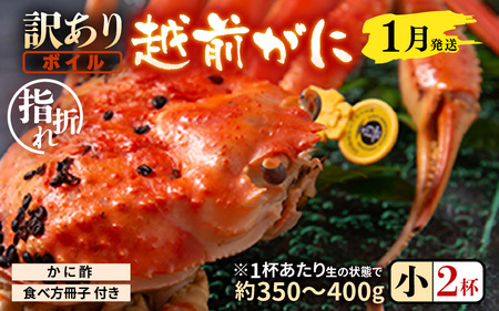 【1月発送】【先行予約】【訳あり】茹で越前がに（小）2杯 やまに仕込み [D-4306_01]
